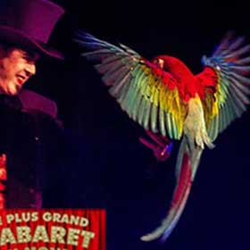 spektakel goochelaar met ara papegaai