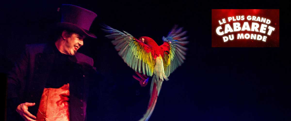 goochelaar vogels le plus grand cabaret du monde